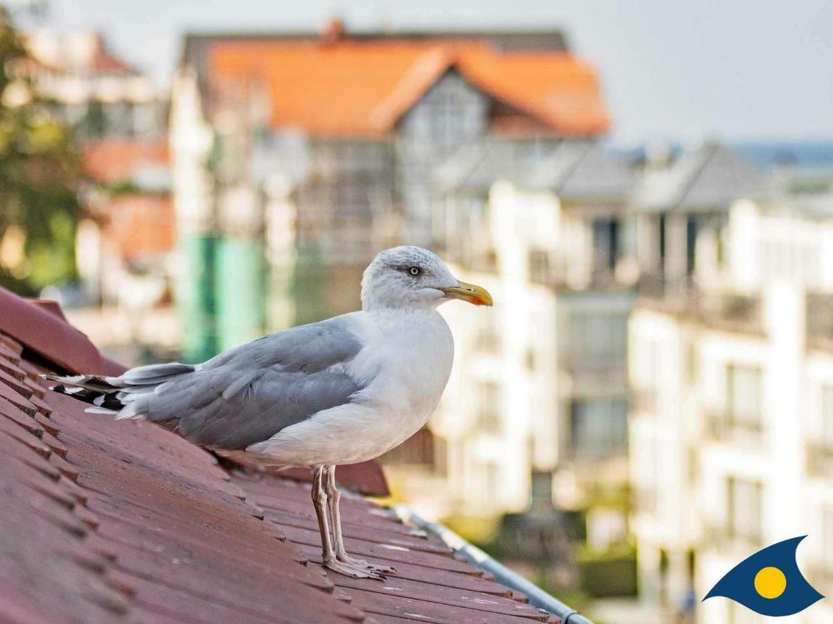 Villa Carola Whg "Moewennest" Heringsdorf Dış mekan fotoğraf